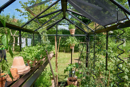Halls Cotswold Birdlip Greenhouse